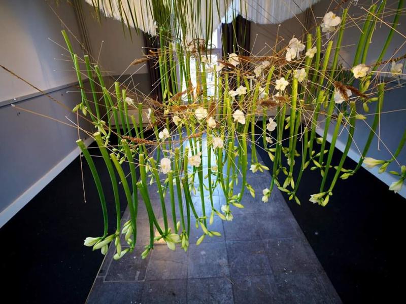 inspiratie-13-amaryllis-montBlanc.jpg